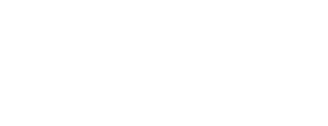Link to the Future